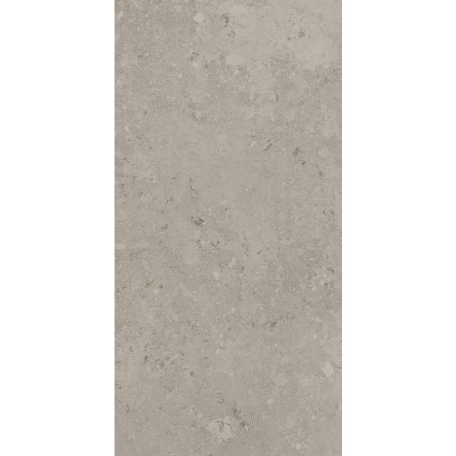 PARADYZ FREEDUST TAUPE REKT. MATT 59.8X119.8 (1.43 M2)